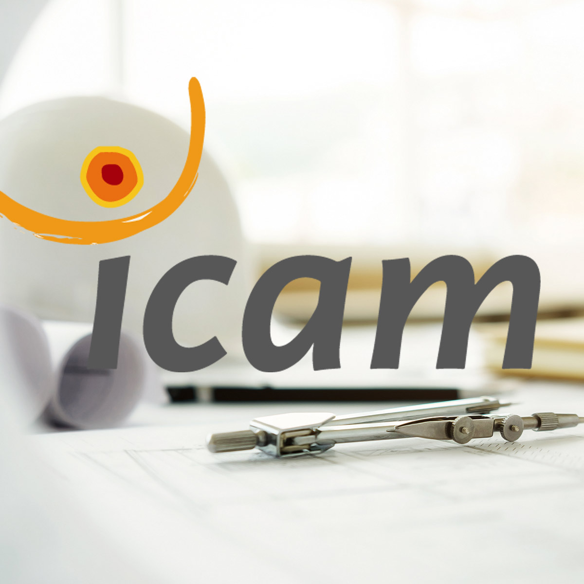 Formation et Transmission : L'Expertise au Service de l'Apprentissage 6 logo icam